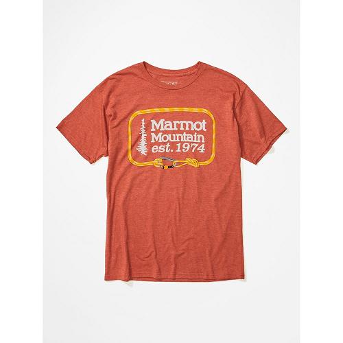 Marmot Ascender Clothes - Mens T-Shirts Multicolor CA1089574 Canada